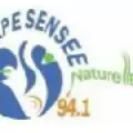RADIO SCARPE SANSEE - FM 94.1
